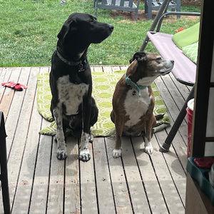 Meet your Posher, Jesseca